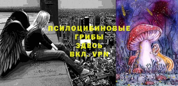 СК Магас