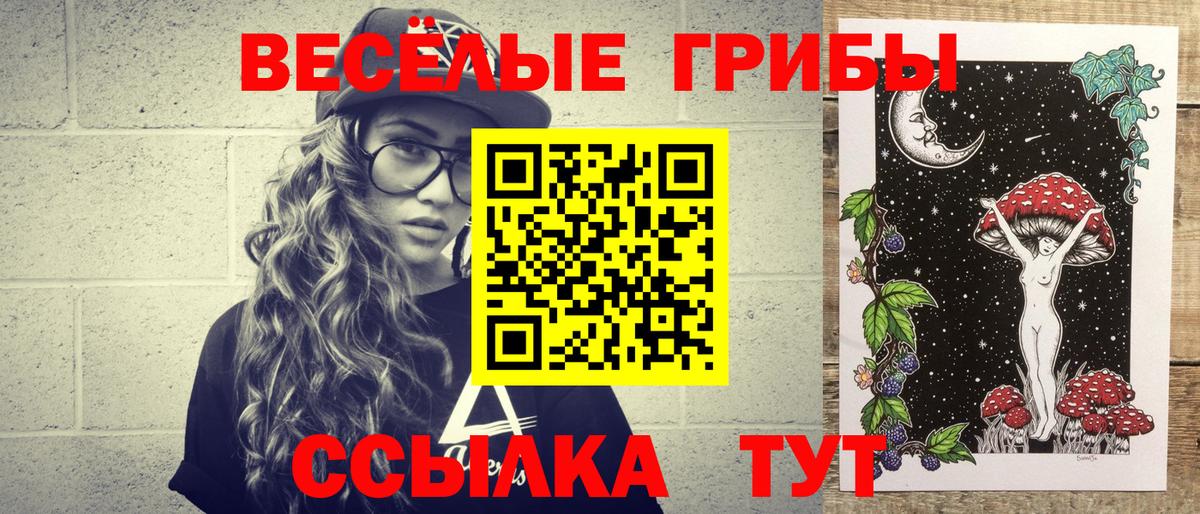 Галлюциногенные грибы Psilocybine cubensis Нижний Тагил